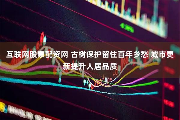 互联网股票配资网 古树保护留住百年乡愁 城市更新提升人居品质