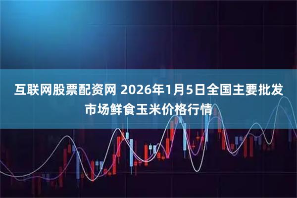 互联网股票配资网 2026年1月5日全国主要批发市场鲜食玉米价格行情